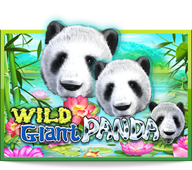 wild giant panda สล็อตออนไลน์